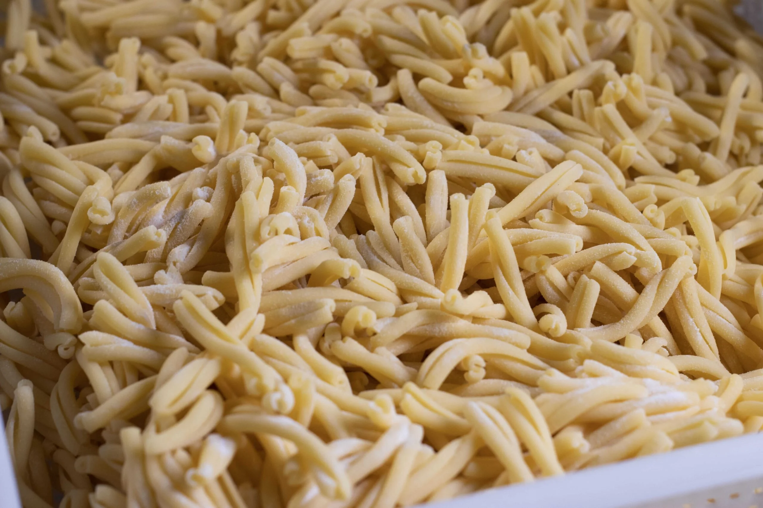 pasta secca